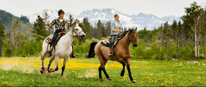 Confident plus-size woman riding Nottingham a horse through a field with a smile on her face.